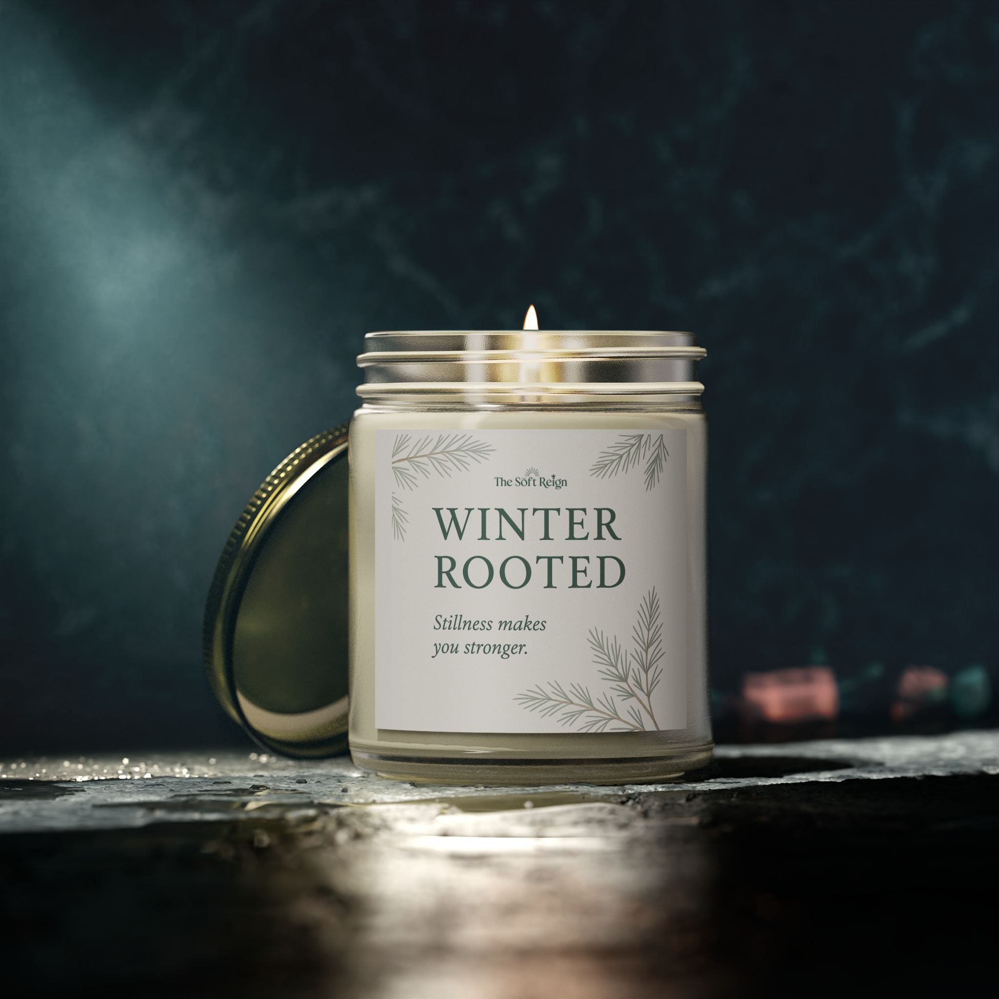 Winter Rooted Candle – Fraser Fir